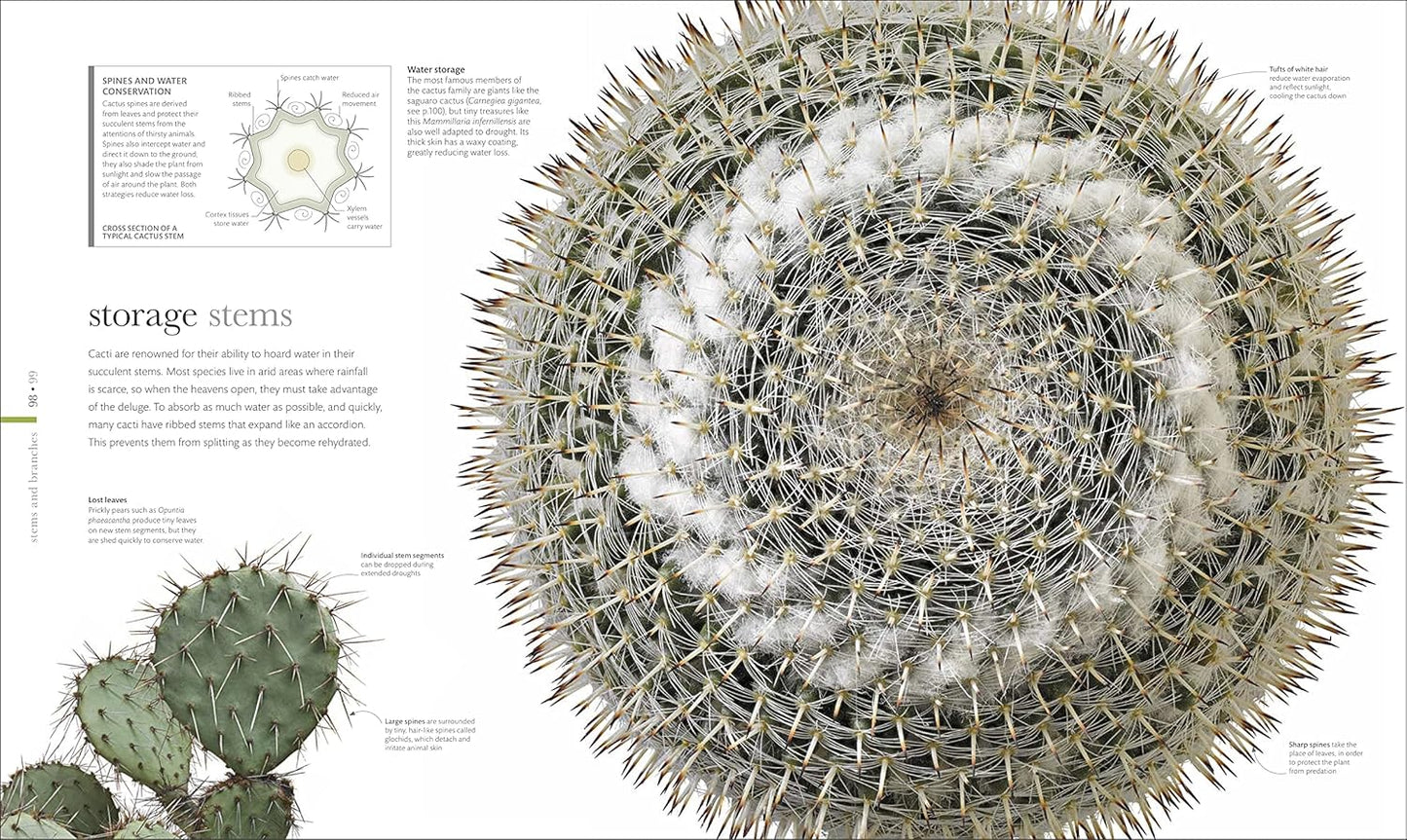 The Science of Plants: Inside their Secret World - DK Secret World Encyclopedias (Hardback)