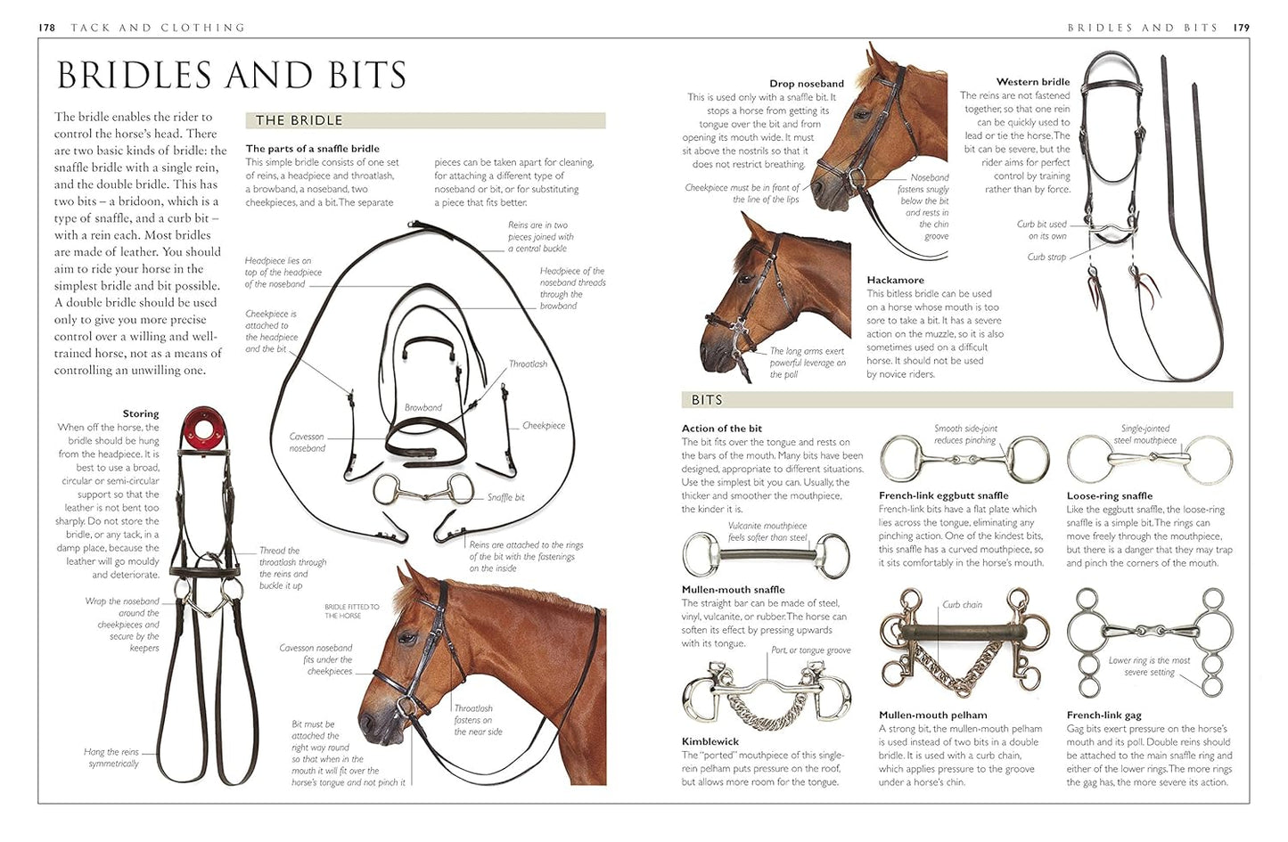 Complete Horse Care Manual - DK Practical Pet Guides (Hardback)