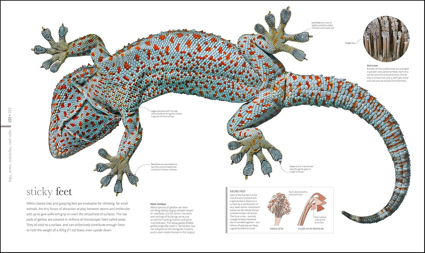 The Science of Animals: Inside their Secret World - DK Secret World Encyclopedias (Hardback)