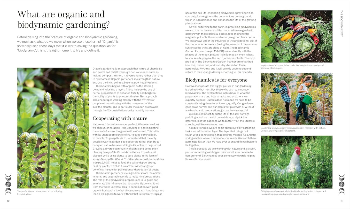 Biodynamic Gardening: Organic Growing Guided by the Moon for Bountiful Harvests (Hardback)