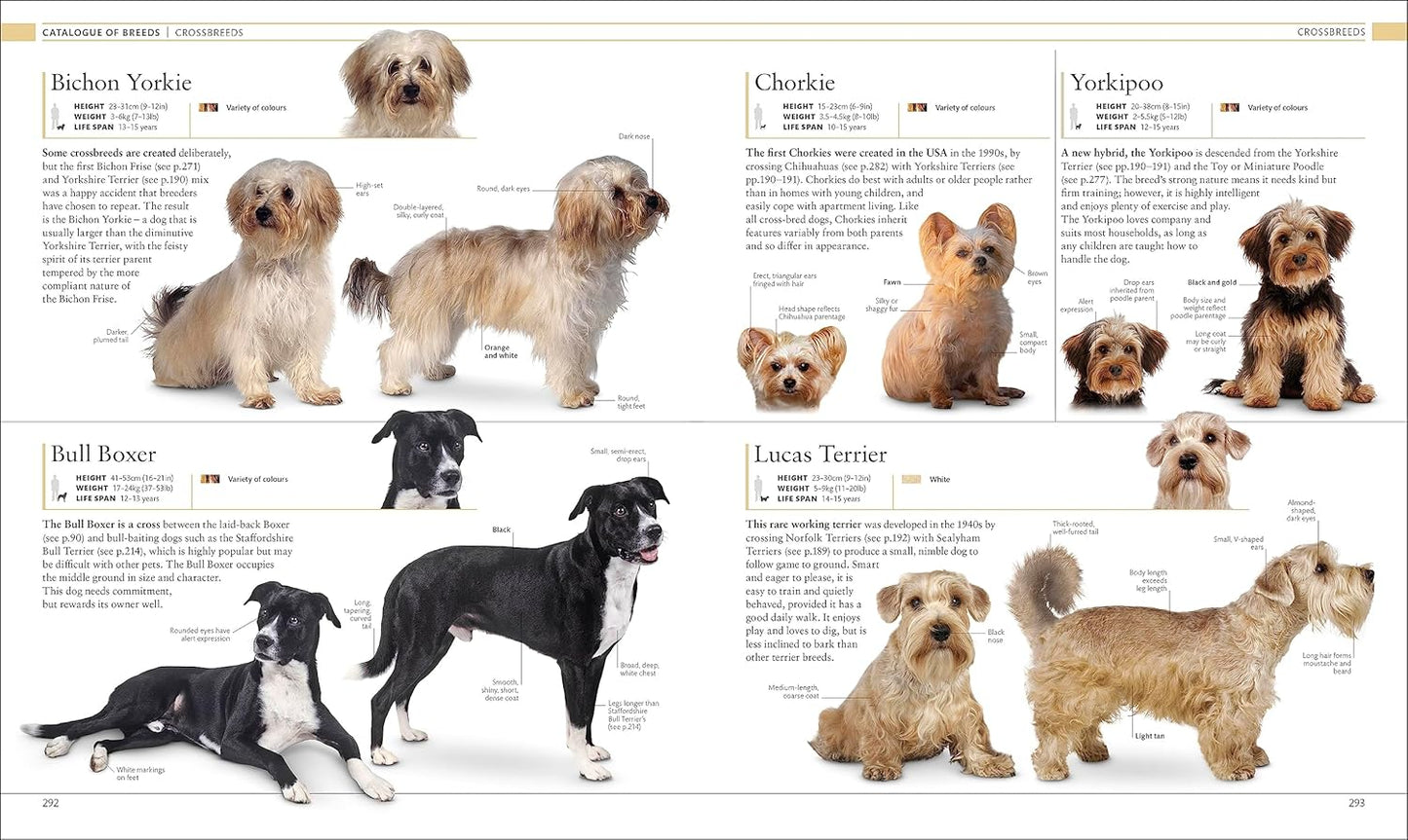 The Dog Encyclopedia: The Definitive Visual Guide - DK Pet Encyclopedias (Hardback)