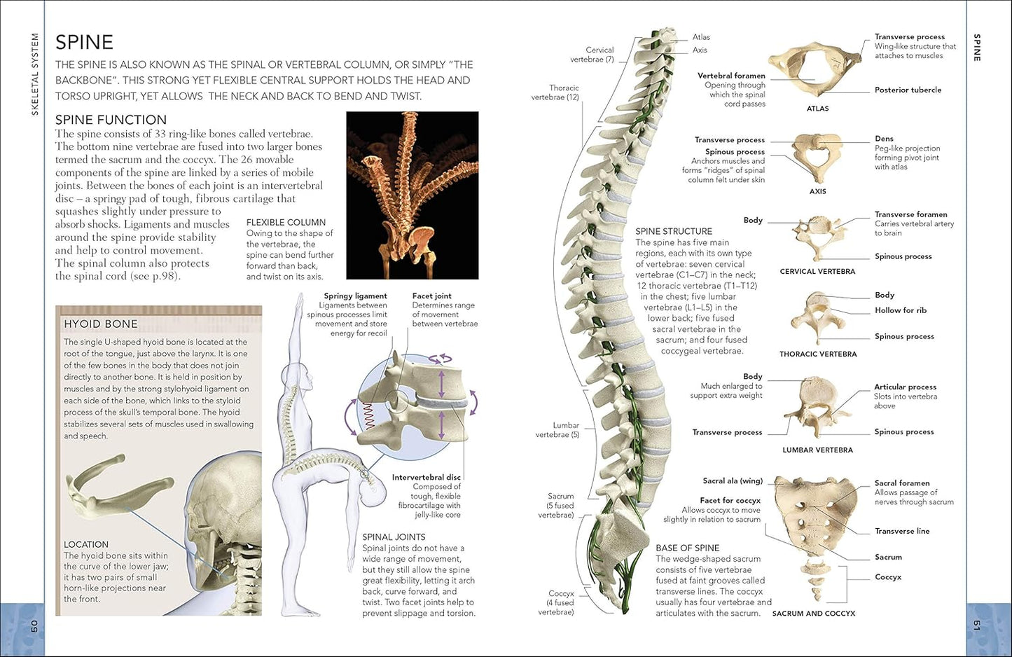 The Concise Human Body Book: An illustrated guide to its structure, function and disorders - DK Human Body Guides (Paperback)