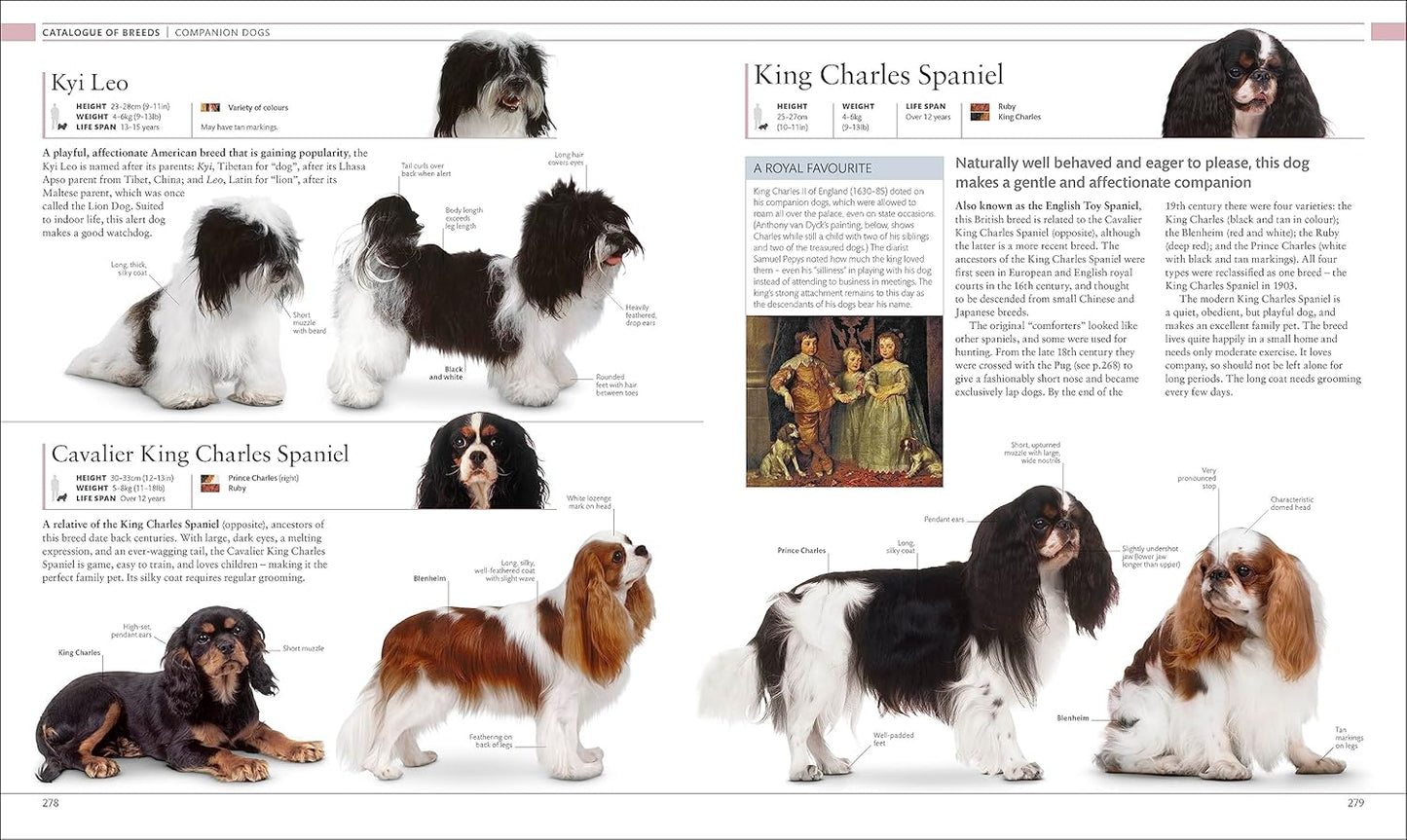 The Dog Encyclopedia: The Definitive Visual Guide - DK Pet Encyclopedias (Hardback)
