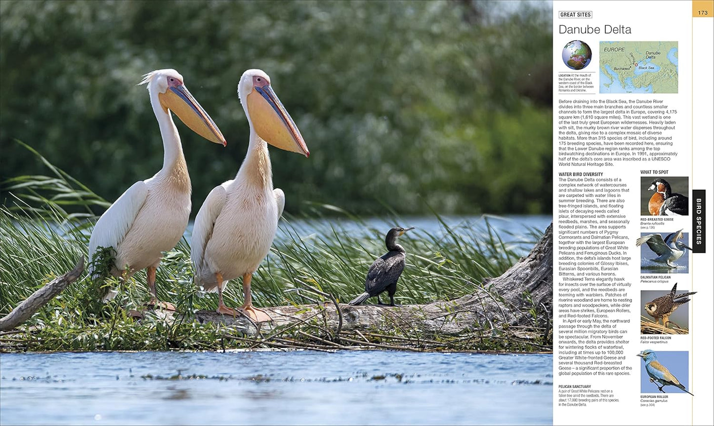 Bird: The Definitive Visual Guide - DK Definitive Visual Encyclopedias (Hardback)