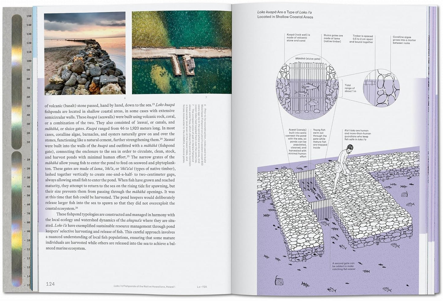 Julia Watson. Lo—TEK. Water. A Field Guide for TEKnology (Hardback)