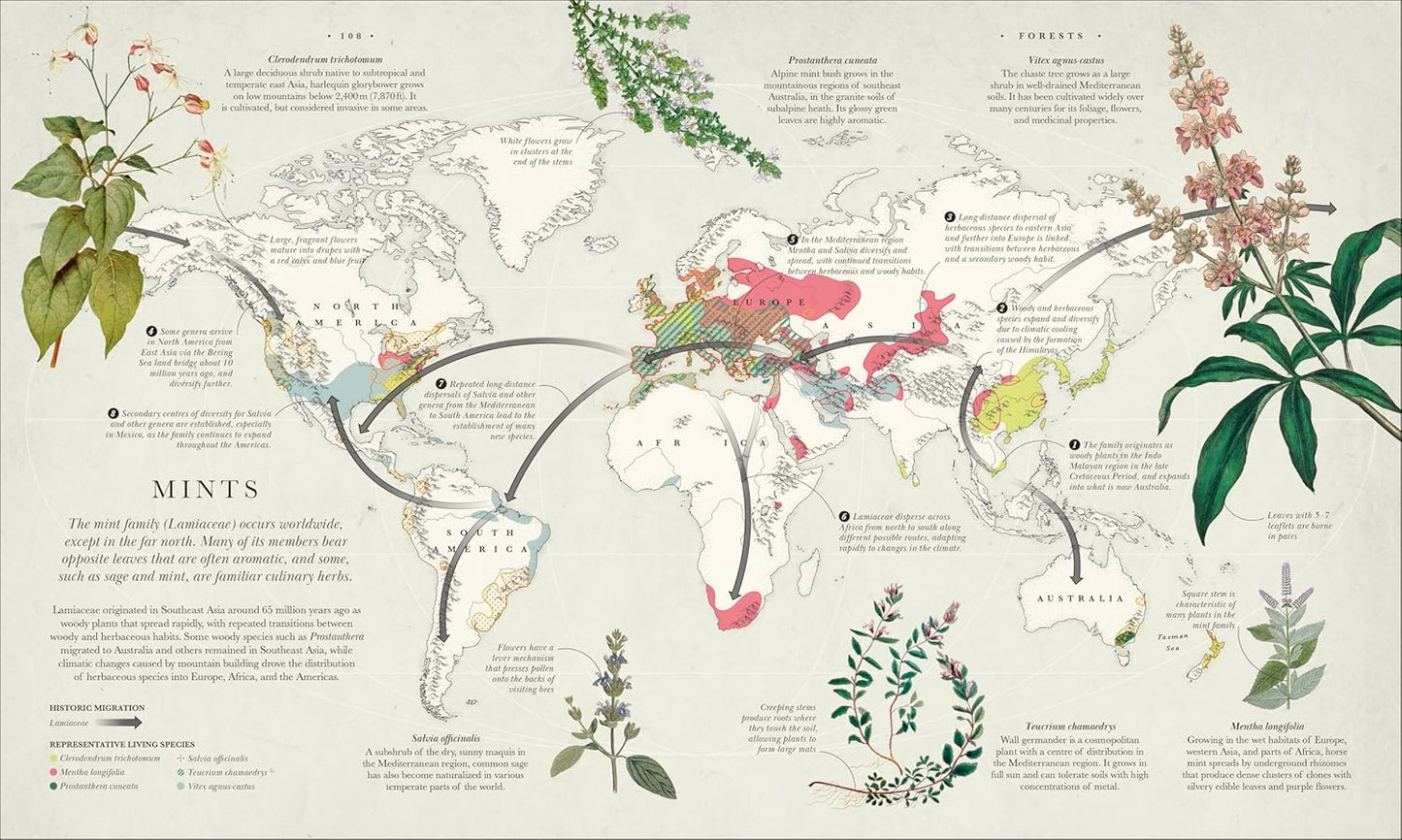 Atlas of Botany: An Exploration of Plants Across Time and Around the World (Hardback)