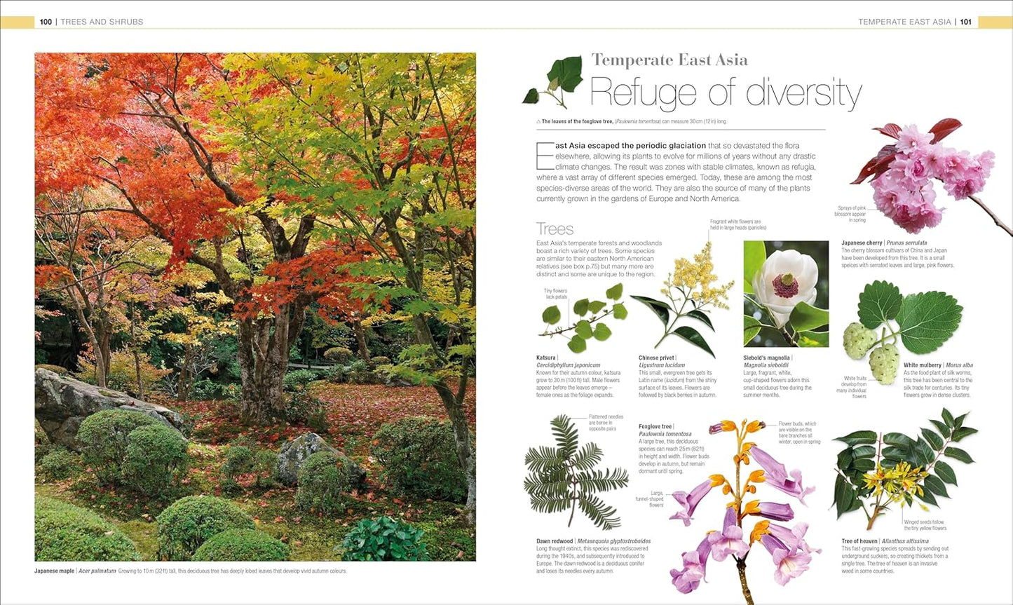 Plants and Fungi: The Definitive Visual Guide - DK Definitive Visual Encyclopedias (Hardback)