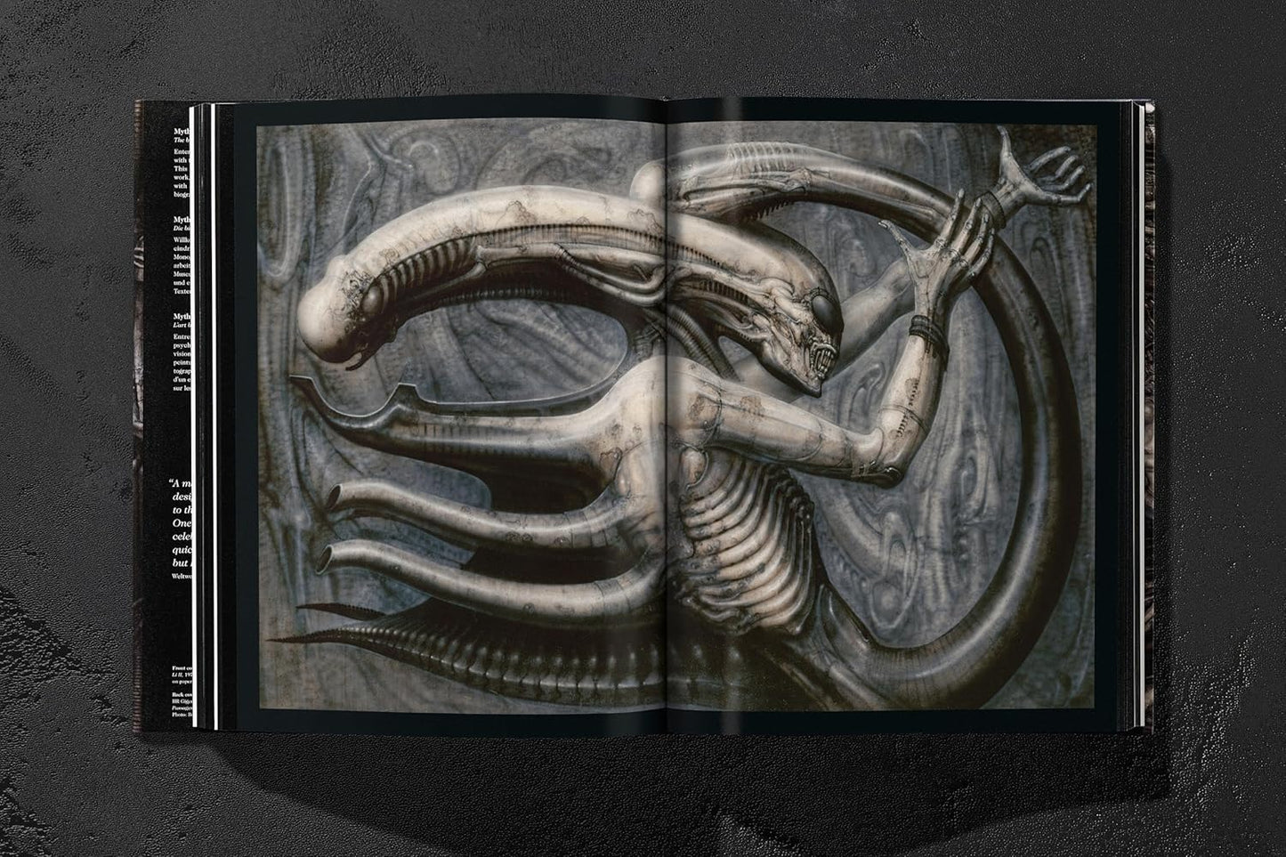 HR Giger (Hardback)