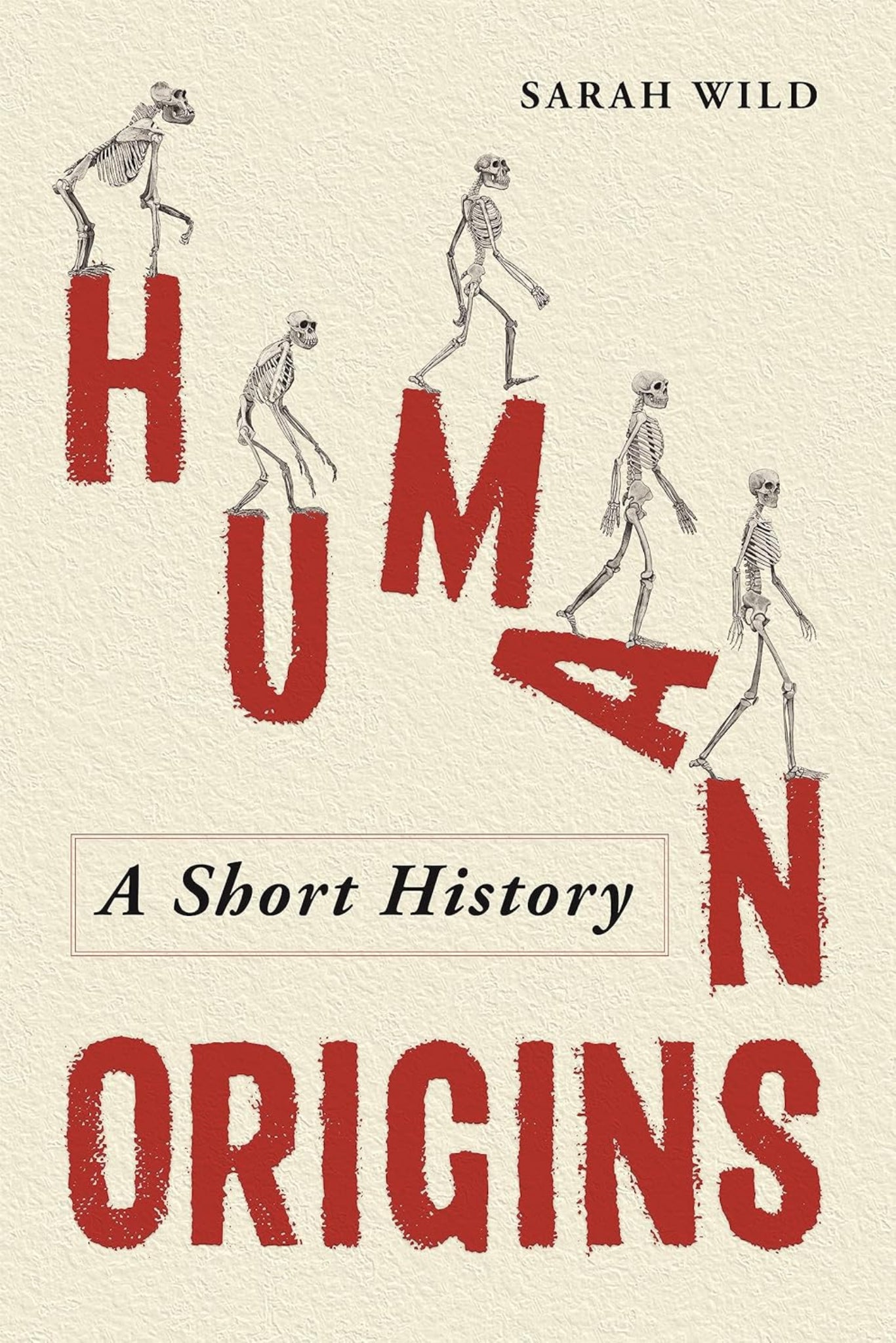 Human Origins: A Short History by Sarah Wild (hardback)