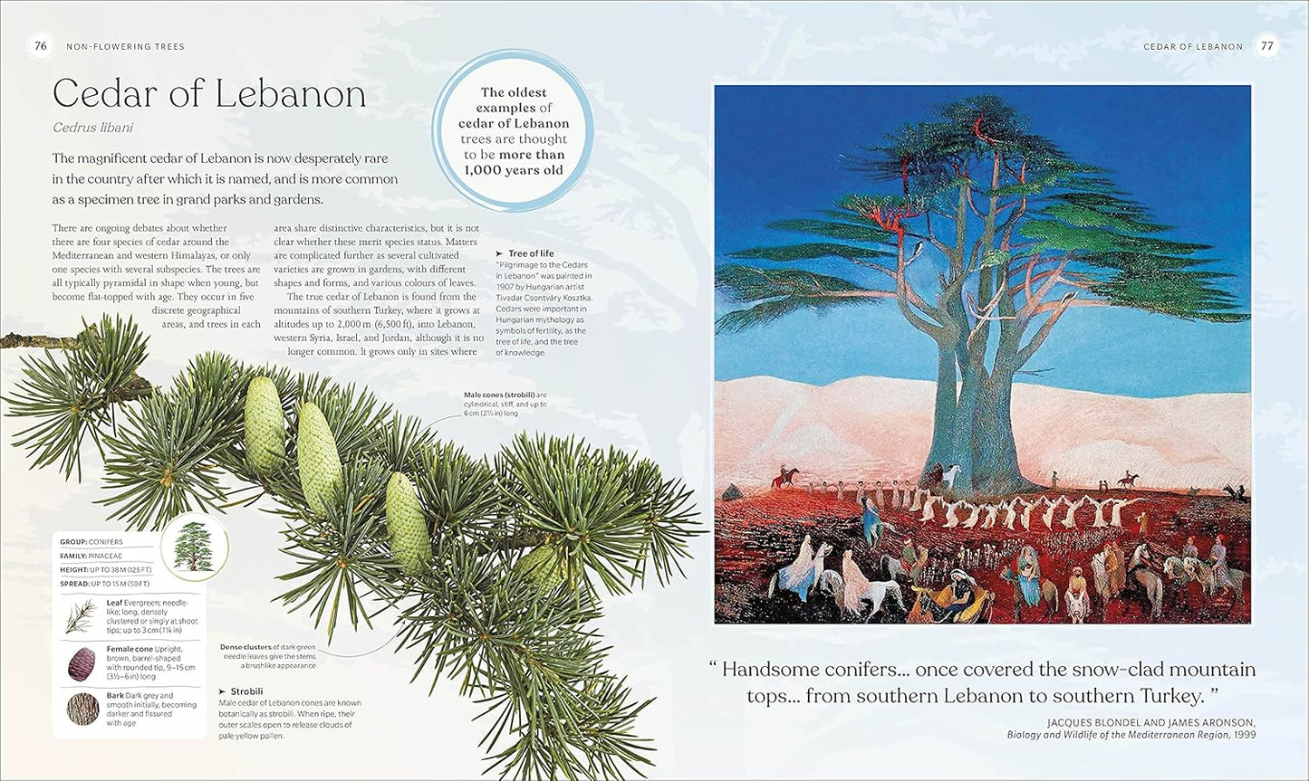 The Tree Book: The Stories, Science, and History of Trees (Hardback)