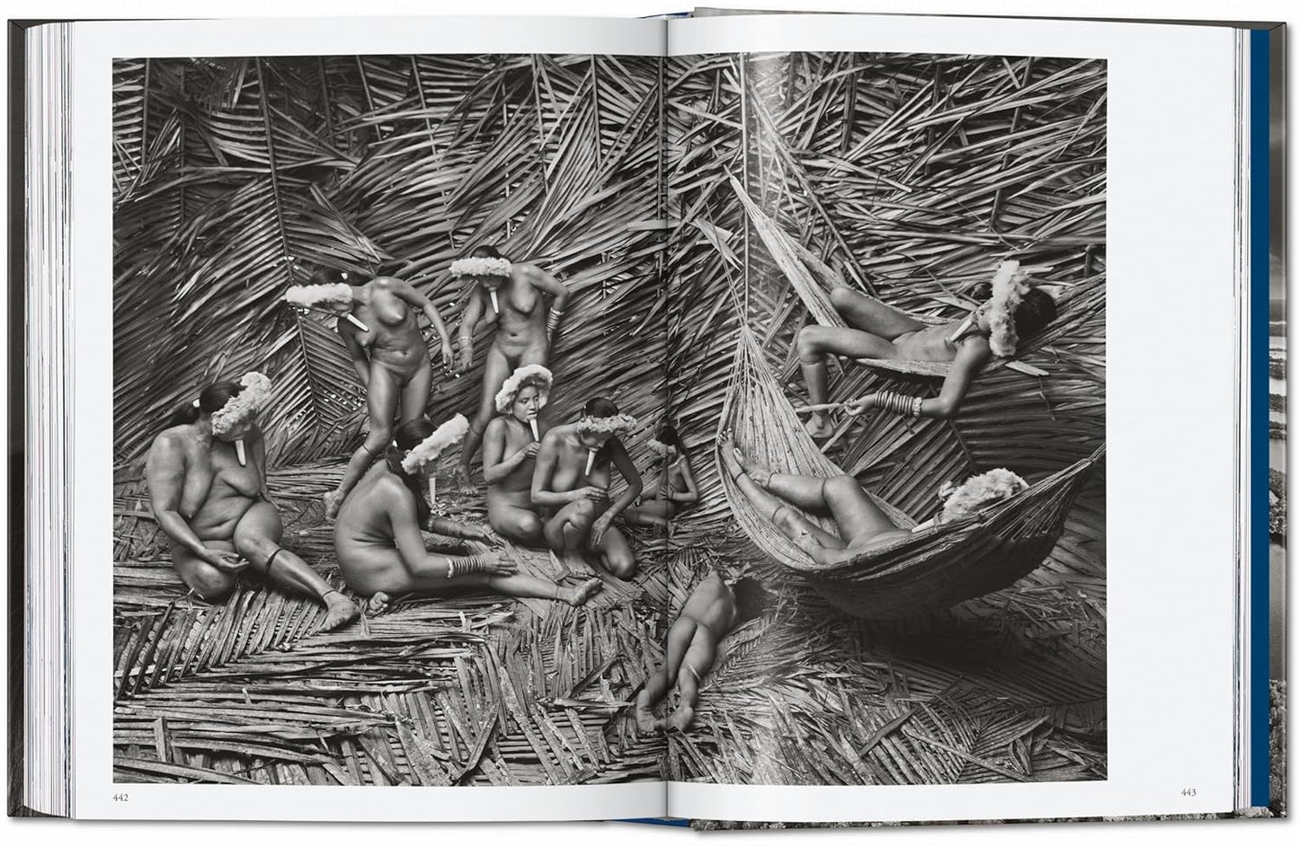 Sebastião Salgado. Amazônia. 45th Ed. - 45th Edition (Hardback)