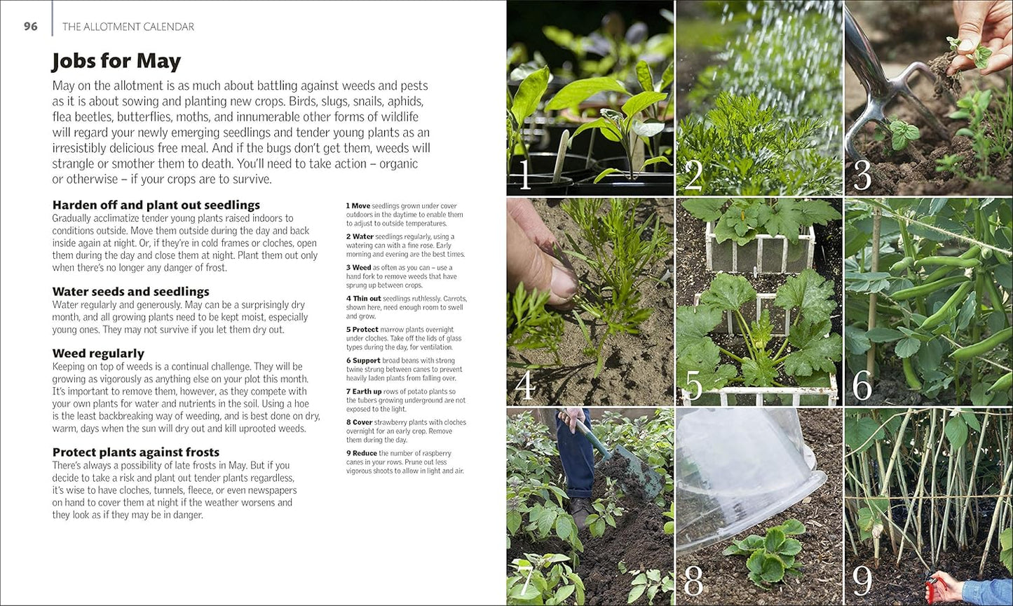 Allotment Month By Month: Grow your Own Fruit and Vegetables, Know What to do When (Hardback)