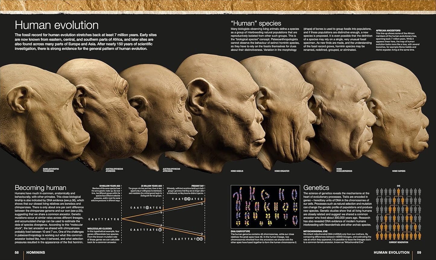Evolution: The Human Story (Hardback)