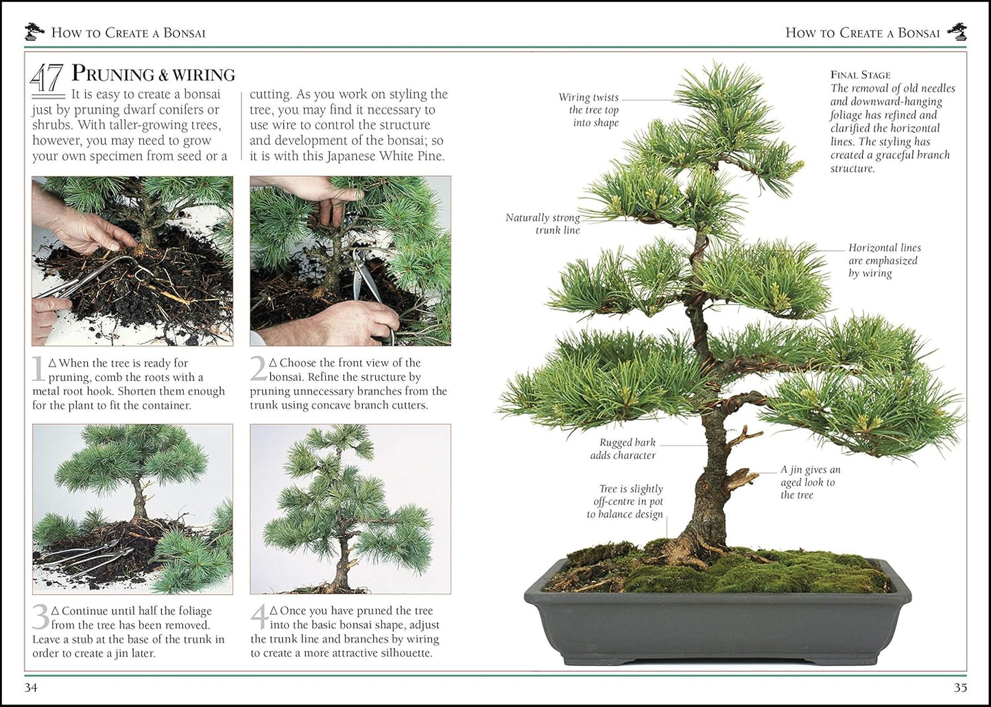101 Essential Tips Bonsai: Breaks Down the Subject into 101 Easy-to-Grasp Tips - 101 Essential Tips (Paperback)