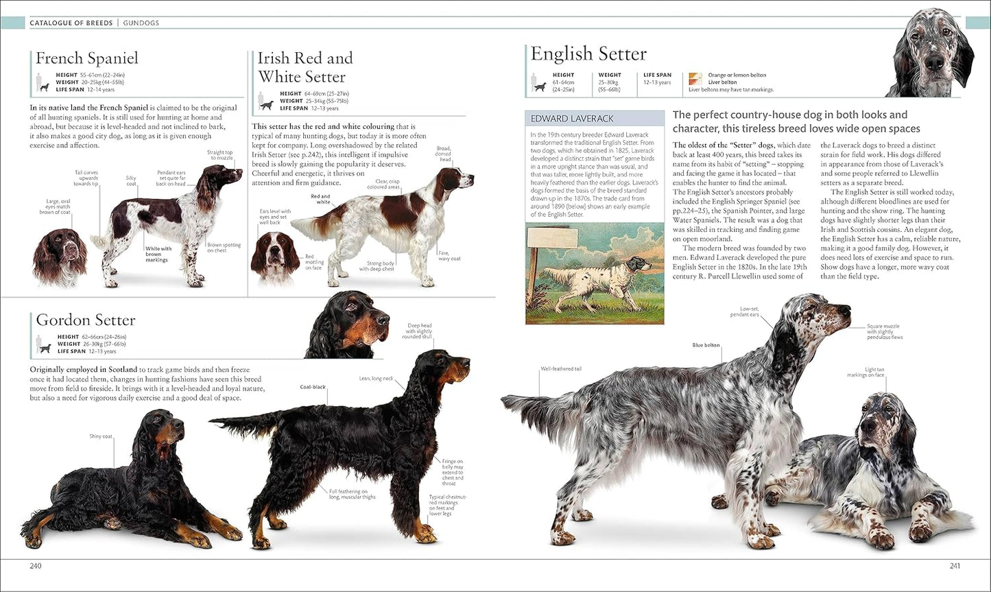 The Dog Encyclopedia: The Definitive Visual Guide - DK Pet Encyclopedias (Hardback)