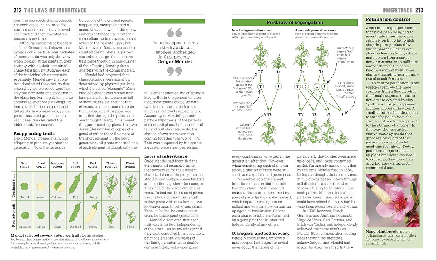 The Biology Book: Big Ideas Simply Explained - DK Big Ideas (Hardback)
