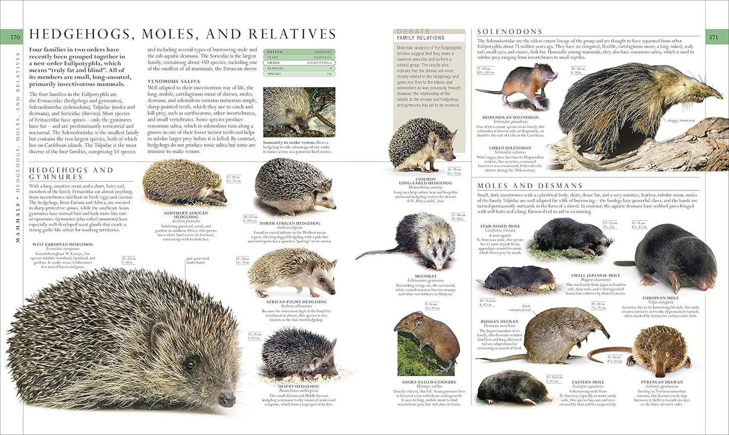 The Natural History Book: The Ultimate Visual Guide to Everything on Earth - DK Definitive Visual Encyclopedias (Hardback)