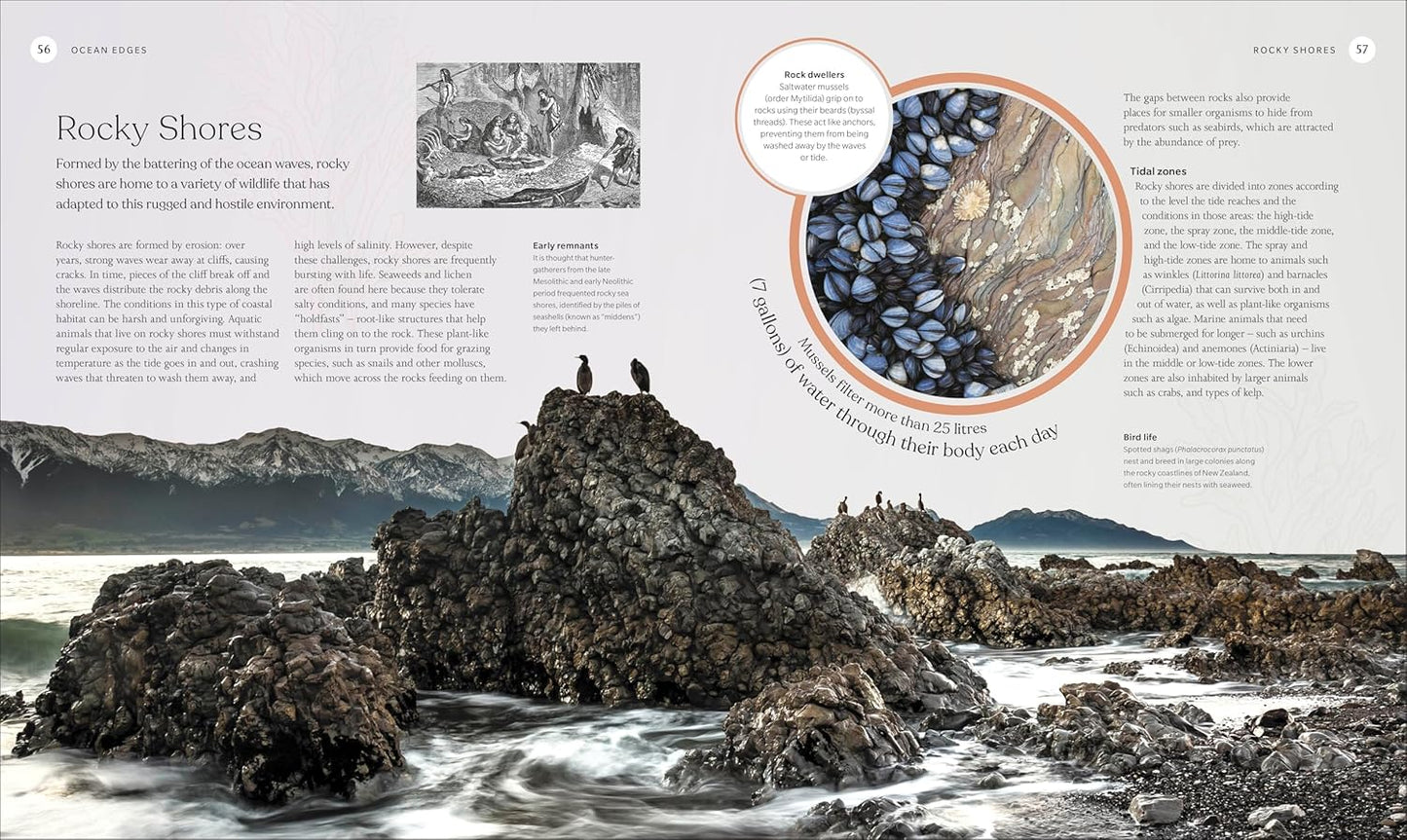 The Ocean Book: The Stories, Science, and History of Oceans - DK Nature Books (Hardback)