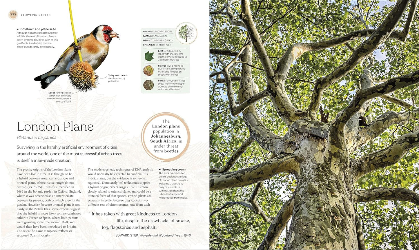 The Tree Book: The Stories, Science, and History of Trees (Hardback)