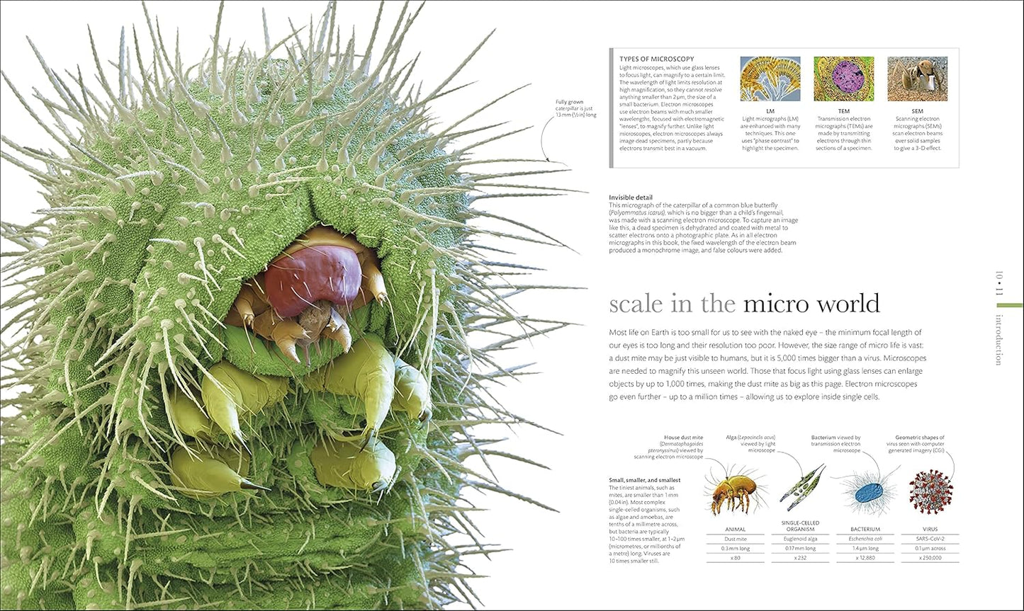 Micro Life: Miracles of the Miniature World Revealed - DK Secret World Encyclopedias (Hardback)