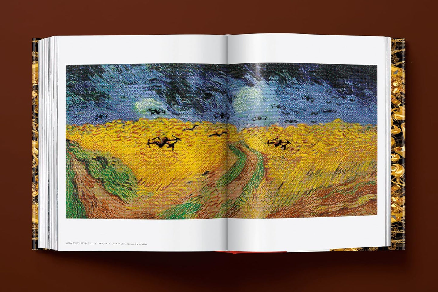 Ai Weiwei. Updated Edition (Hardback)