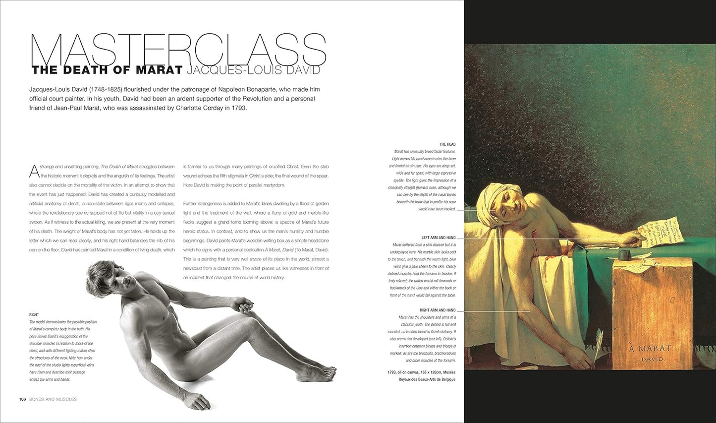 Anatomy for the Artist - DK Practical Art Guides (Hardback)