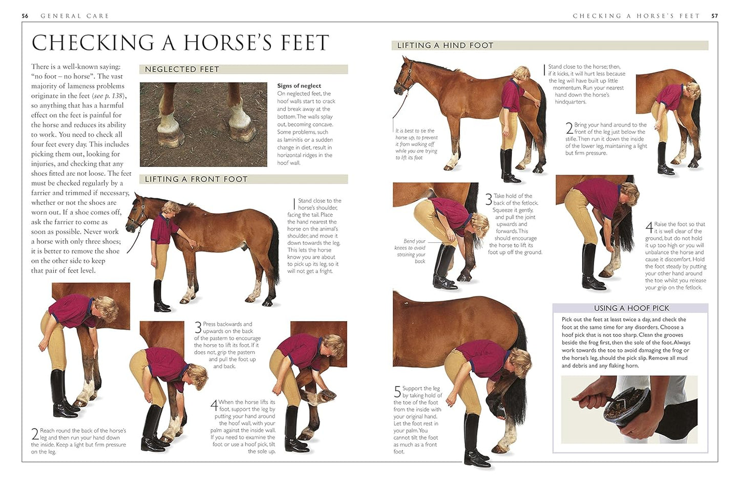 Complete Horse Care Manual - DK Practical Pet Guides (Hardback)