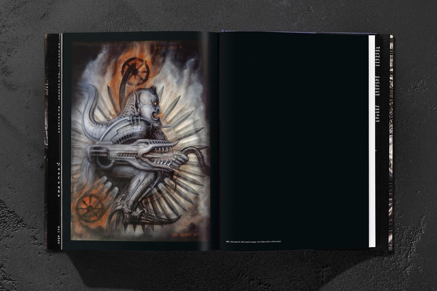 HR Giger (Hardback)