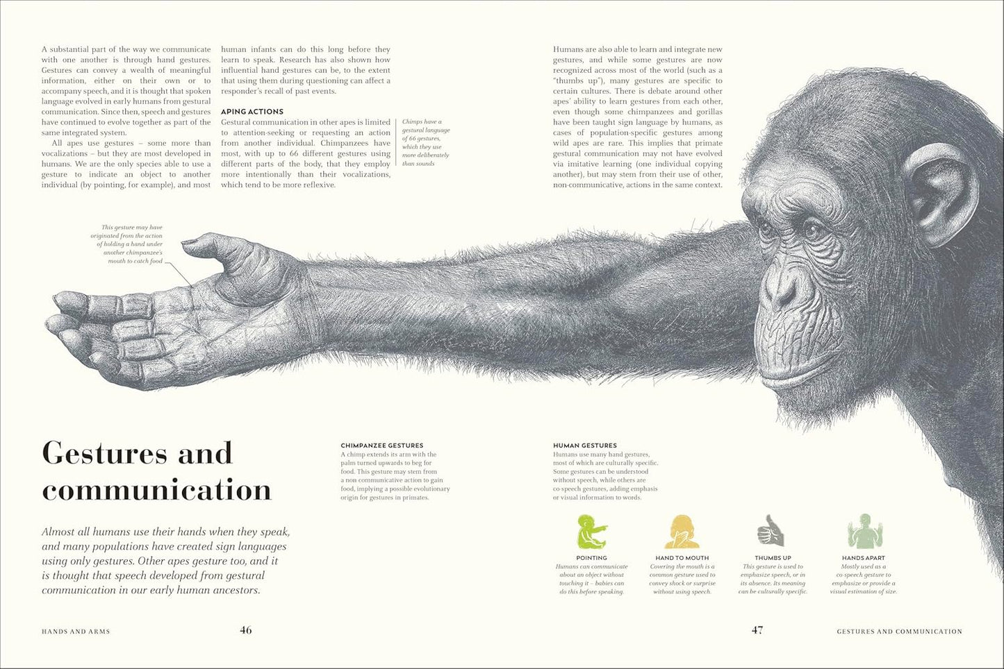 Humans: The Evolution of a Species (Hardback)