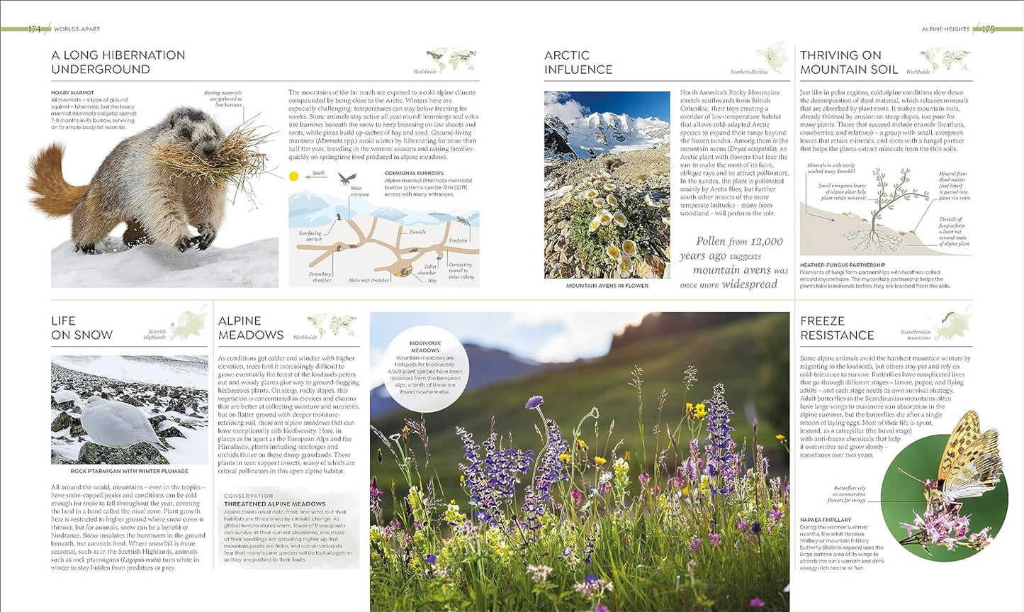 Habitats: Discover Earth's Precious Wild Places (Hardback)