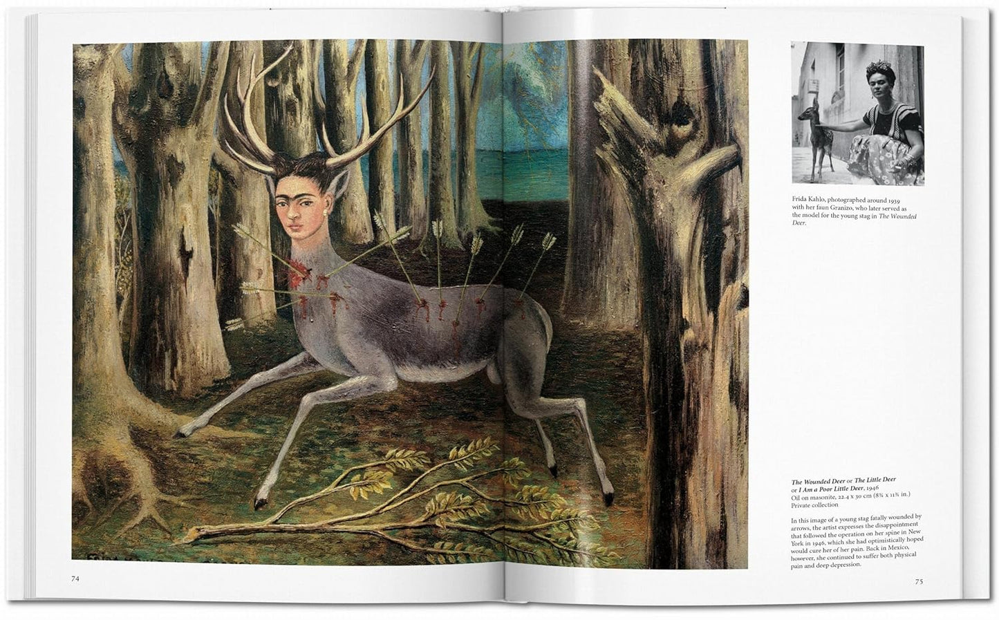 Frida Kahlo - Basic Art (Hardback)