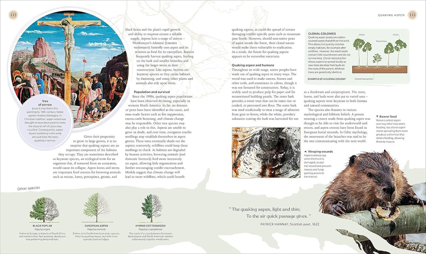 The Tree Book: The Stories, Science, and History of Trees (Hardback)