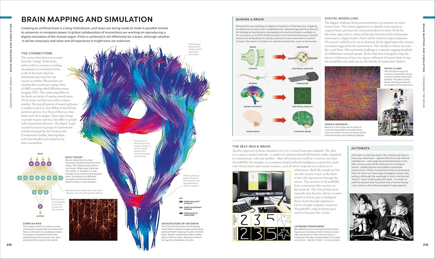 The Brain Book: A Visual Guide to Structure and Function - DK Human Body Guides (Hardback)