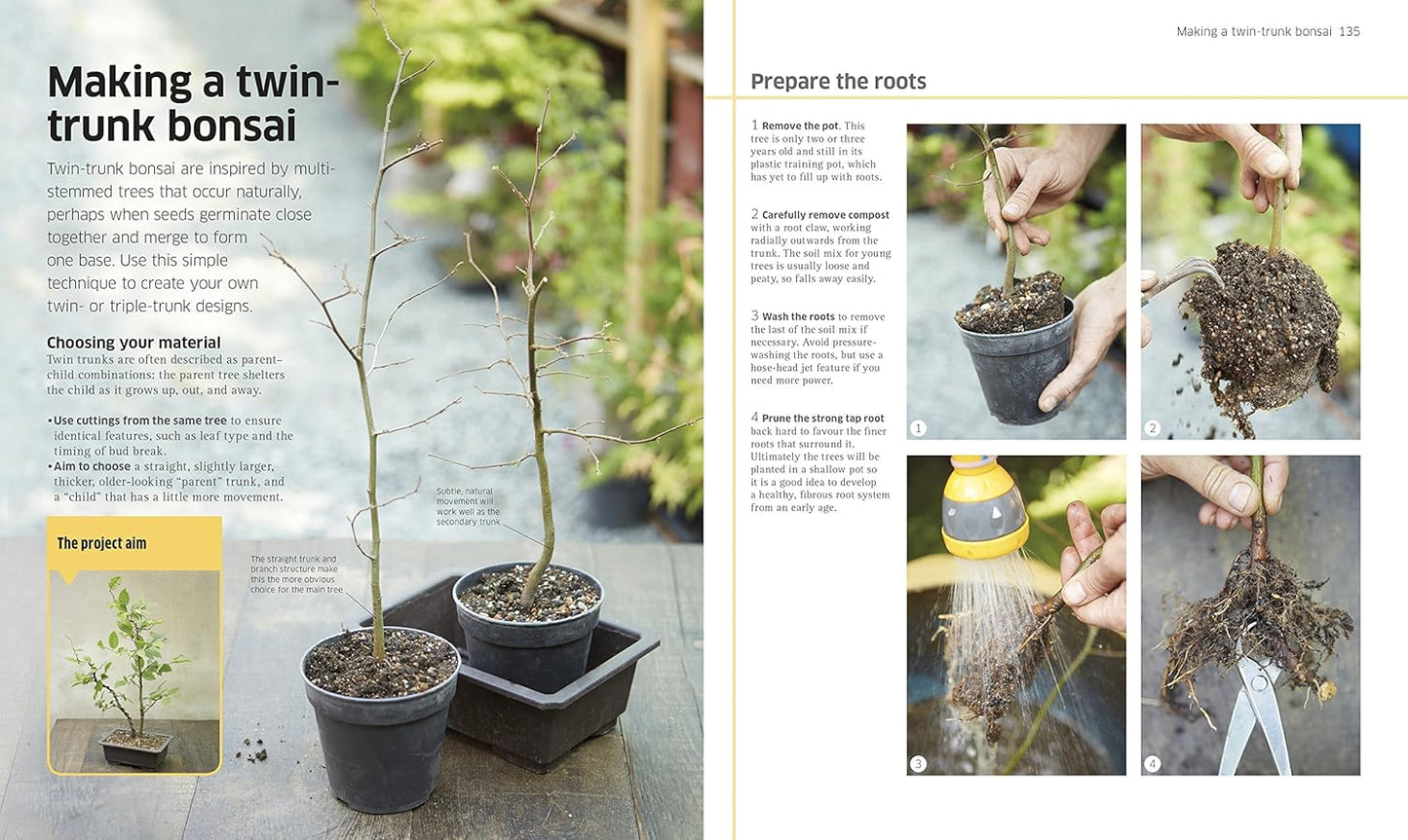 Bonsai (Hardback)