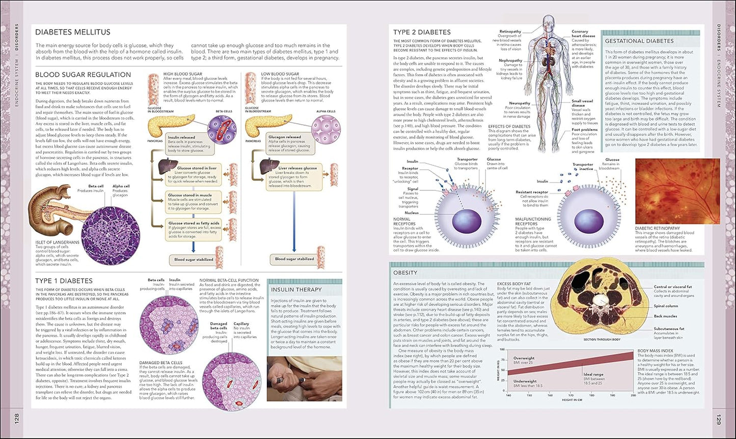 The Human Body Book - DK Human Body Guides (Hardback)