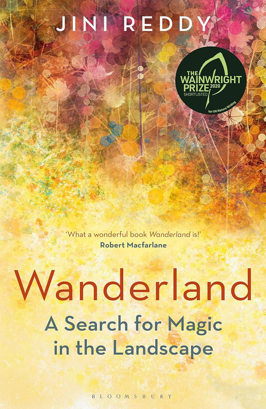 Wanderland: A search for magic in the landscape By Jini Reddy