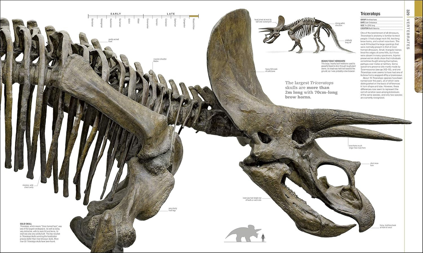 Dinosaurs and Prehistoric Life: The Definitive Visual Guide to Prehistoric Animals - DK Definitive Visual Encyclopedias (Hardback)