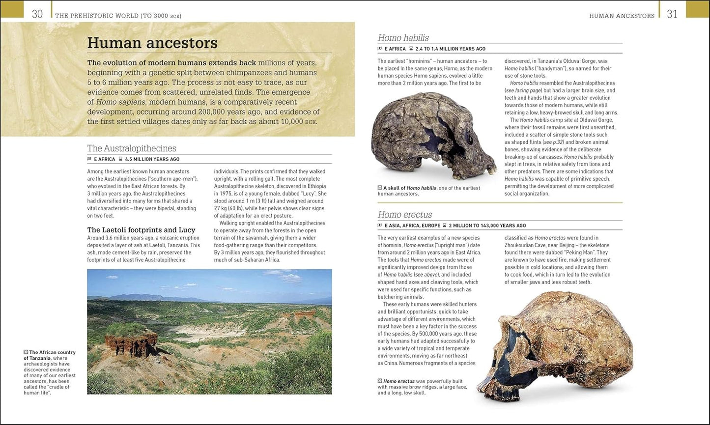 World History: From the Ancient World to the Information Age - DK Ultimate Guides (Hardback)