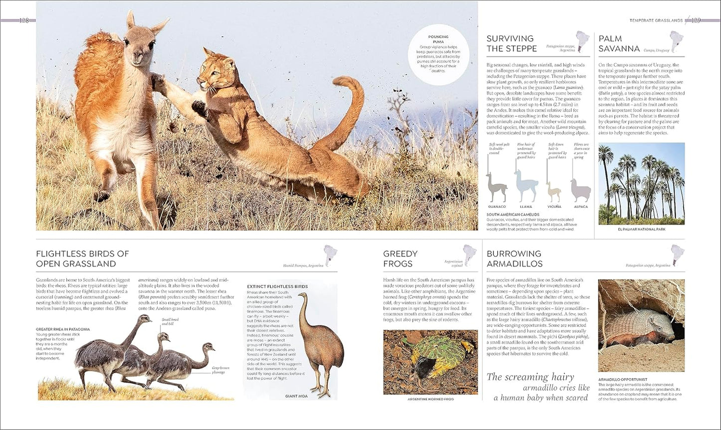 Habitats: Discover Earth's Precious Wild Places (Hardback)