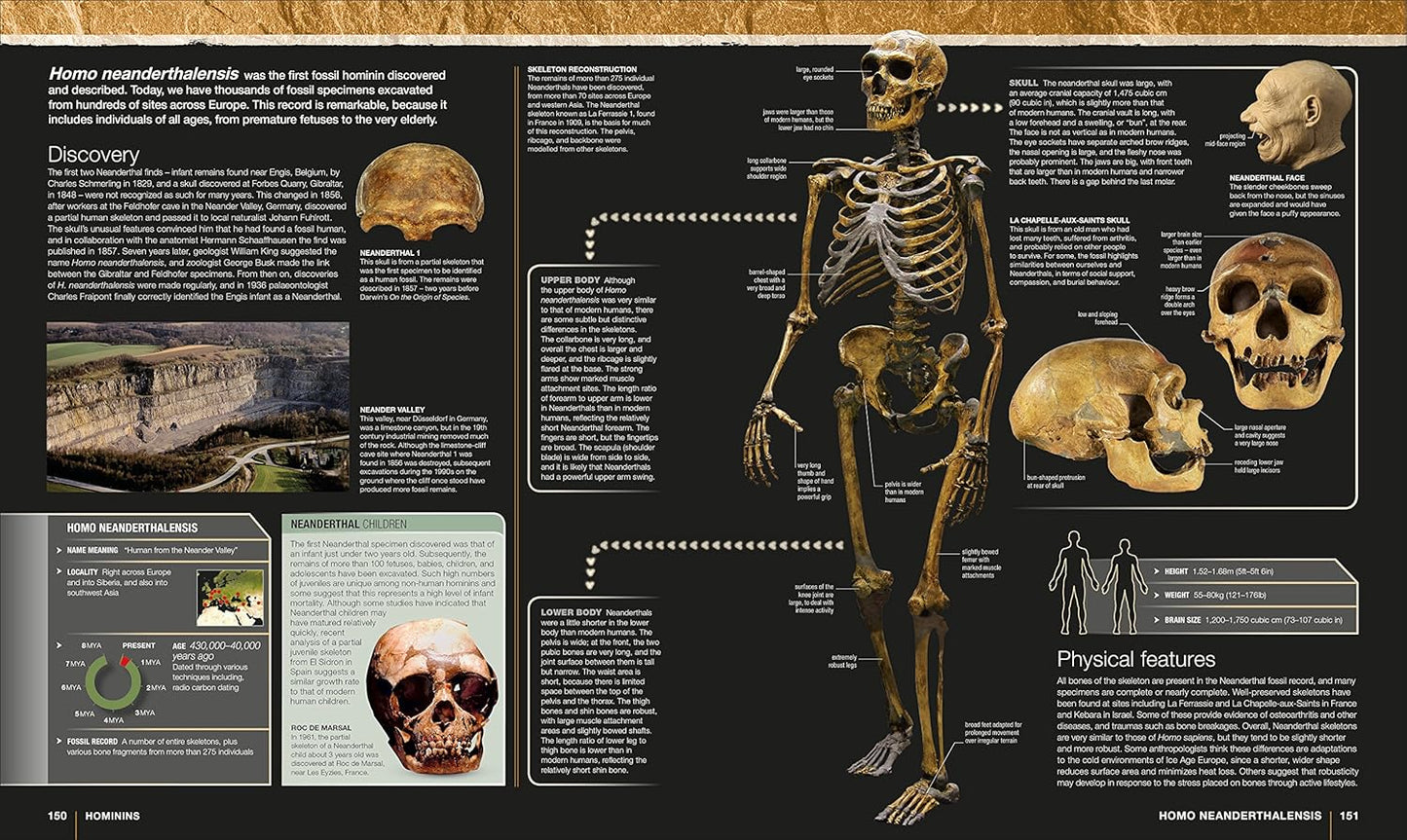 Evolution: The Human Story (Hardback)
