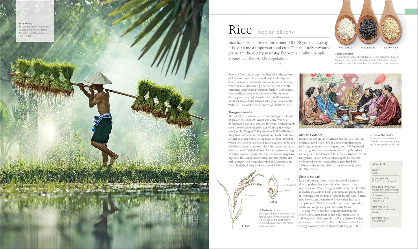 The Food Book: The Stories, Science, and History of What We Eat - DK Nature Books (Hardback)