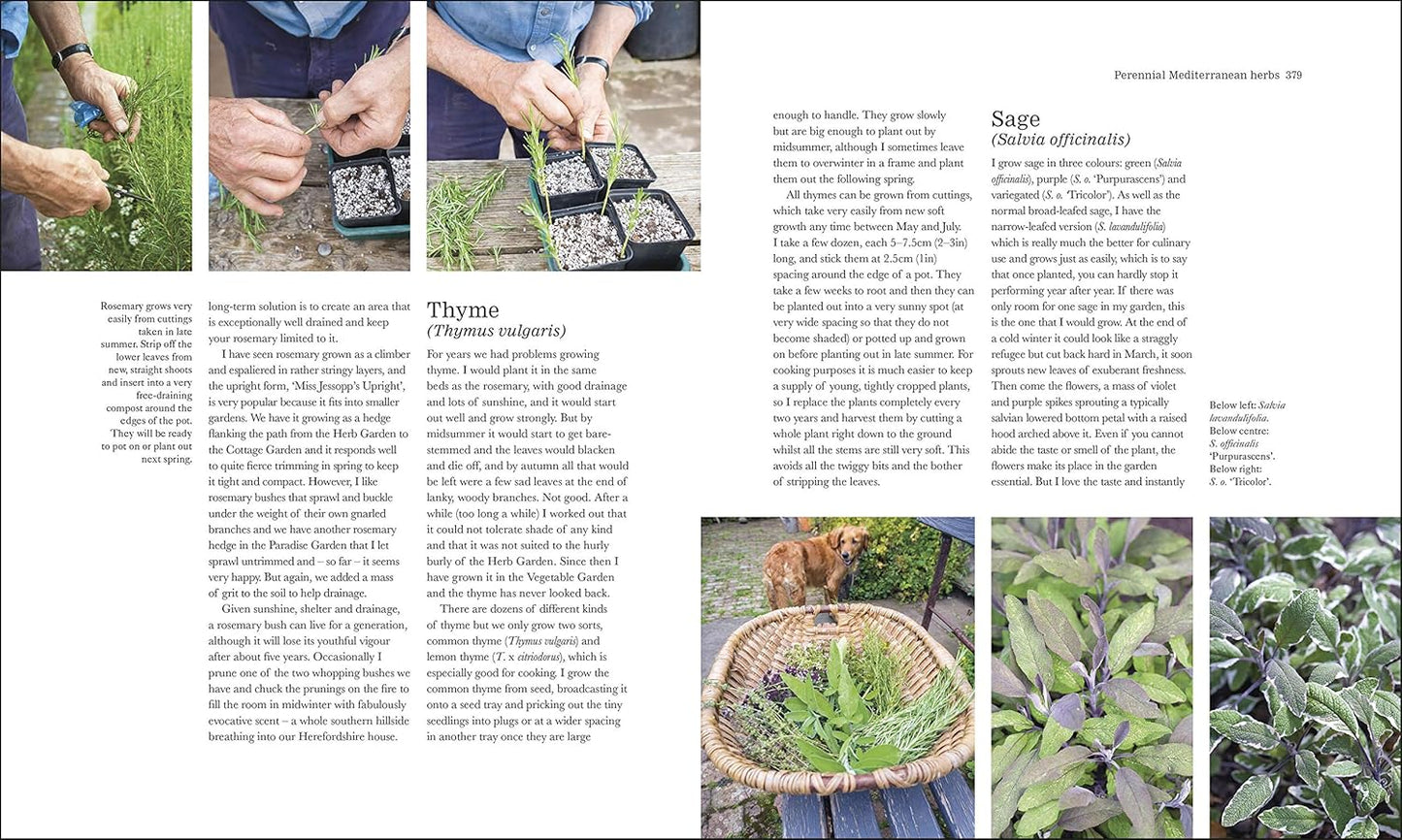 The Complete Gardener: A Practical, Imaginative Guide to Every Aspect of Gardening (Hardback)