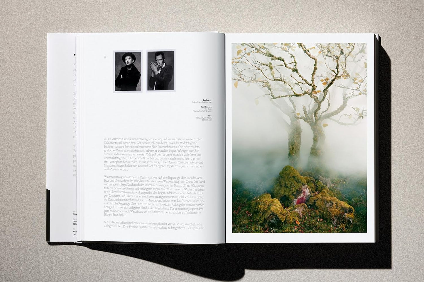 Albert Watson. Kaos (Hardback)