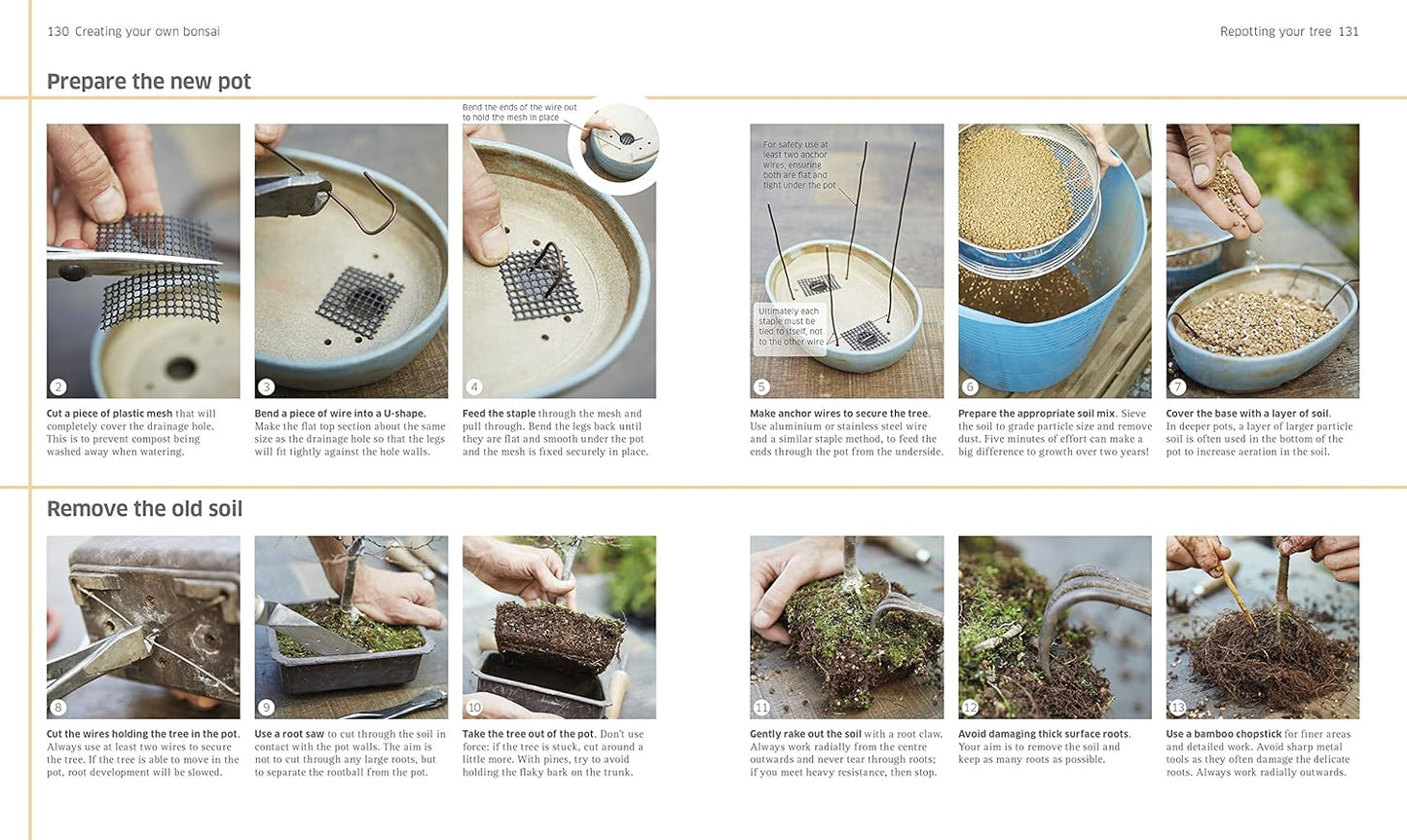 Bonsai (Hardback)