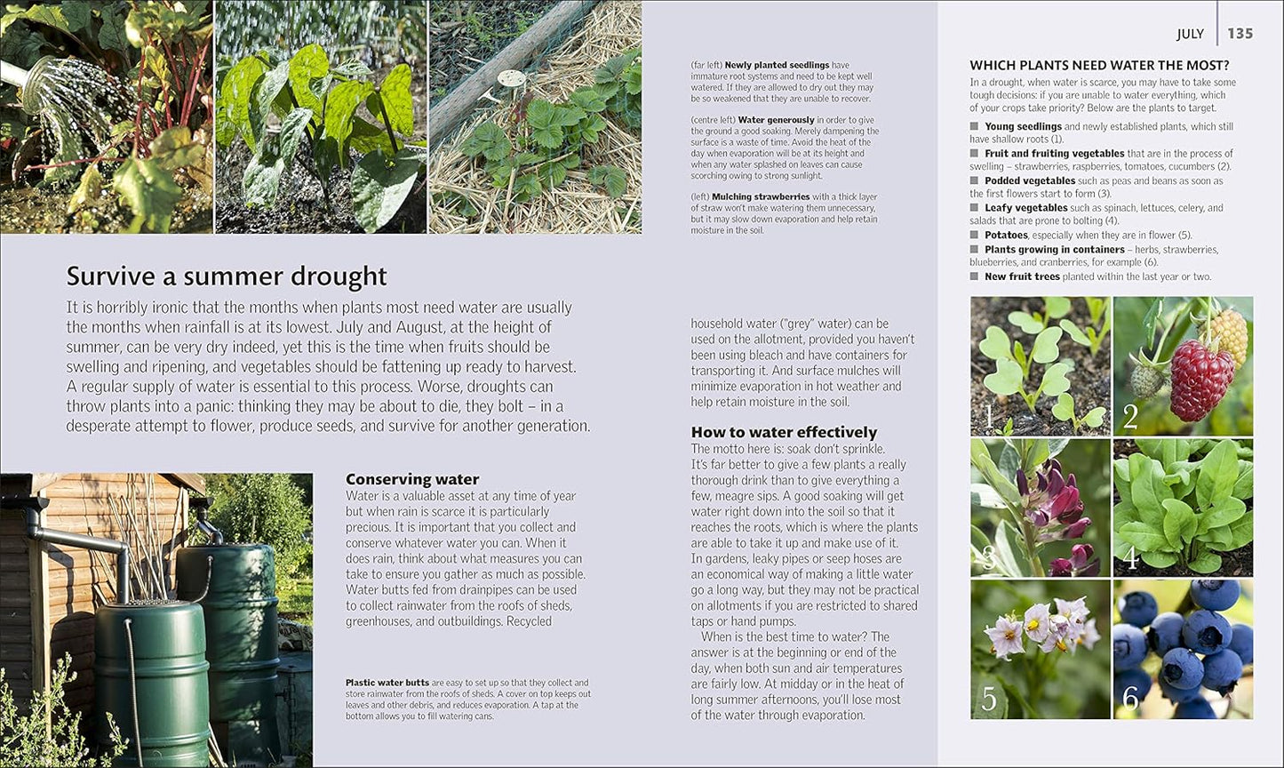 Allotment Month By Month: Grow your Own Fruit and Vegetables, Know What to do When (Hardback)