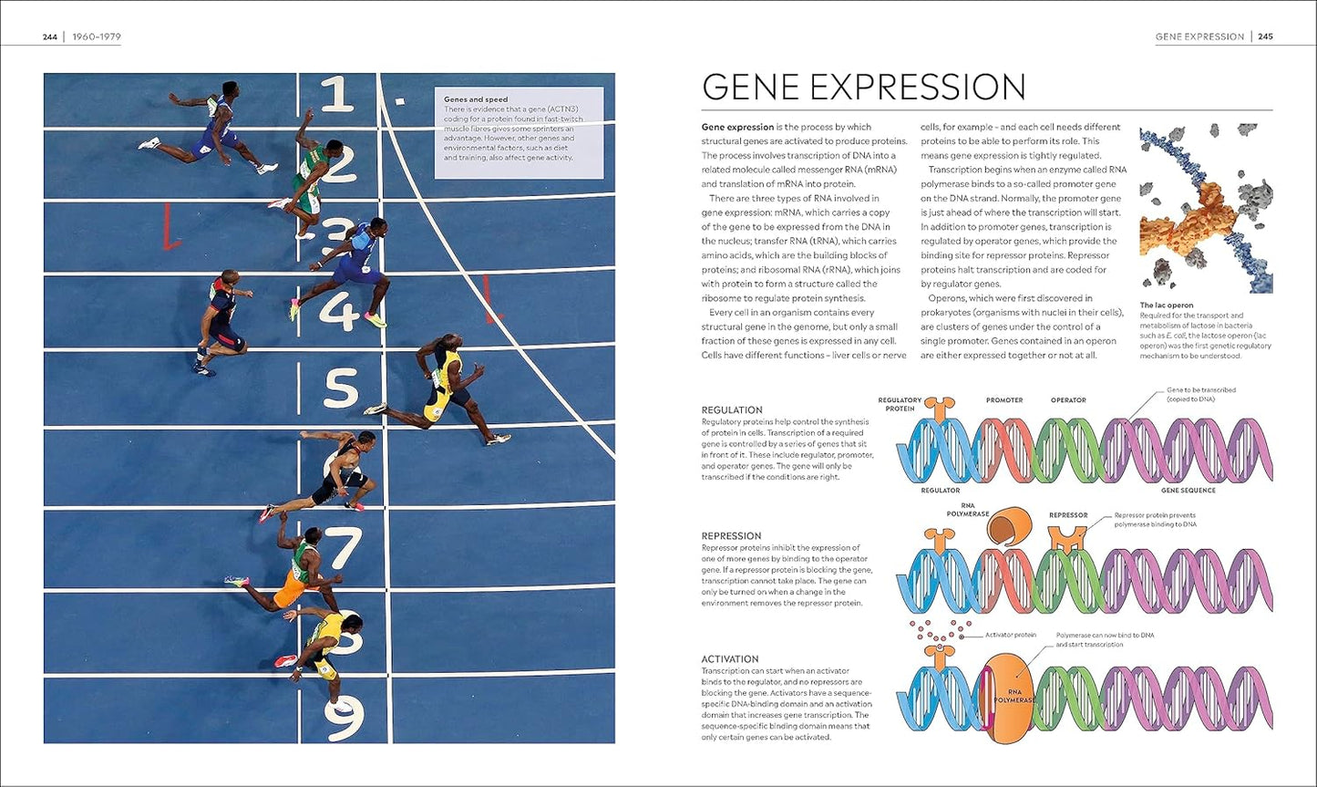 Timelines of Science - DK Timelines (Hardback)