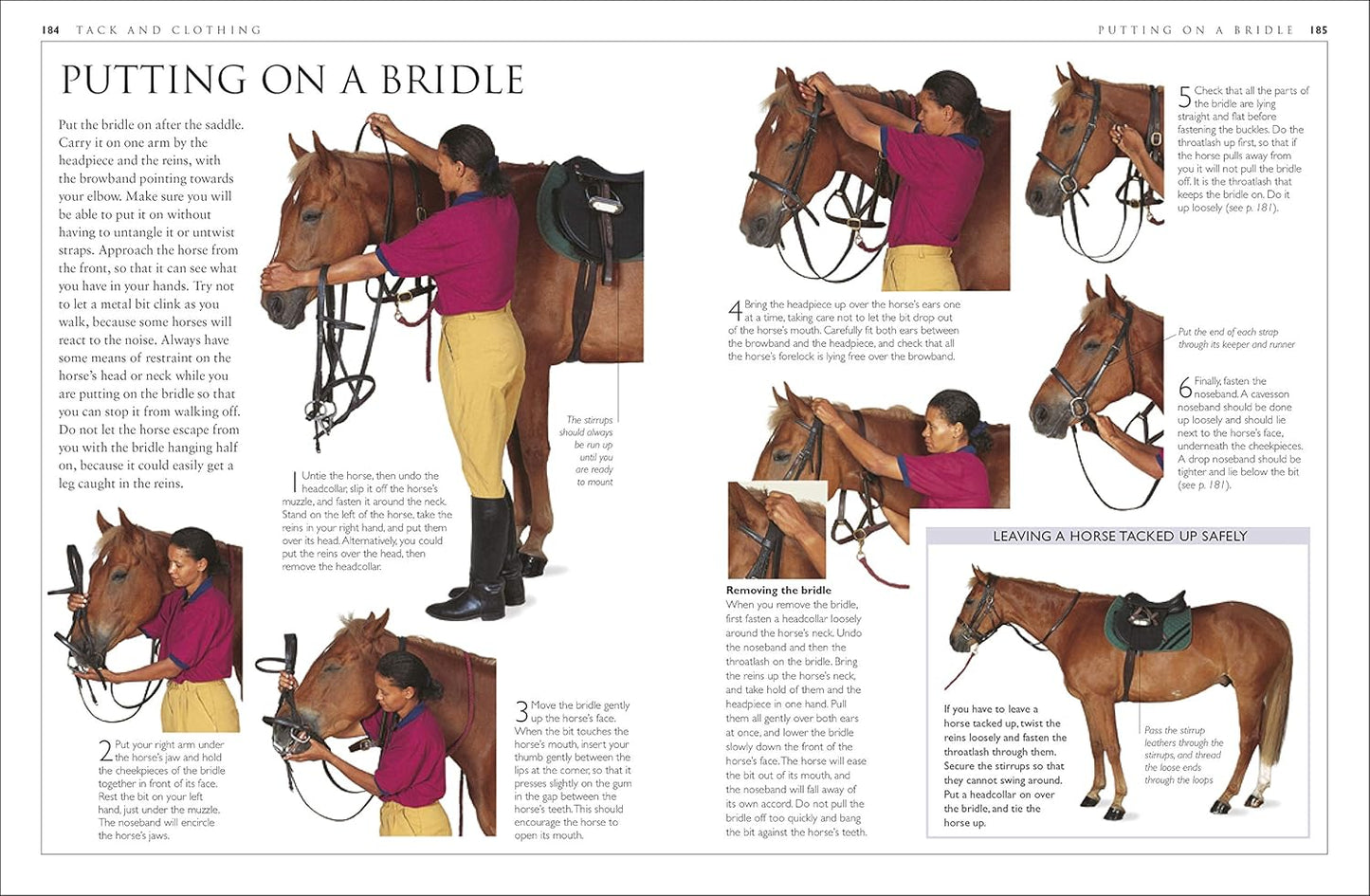 Complete Horse Care Manual - DK Practical Pet Guides (Hardback)