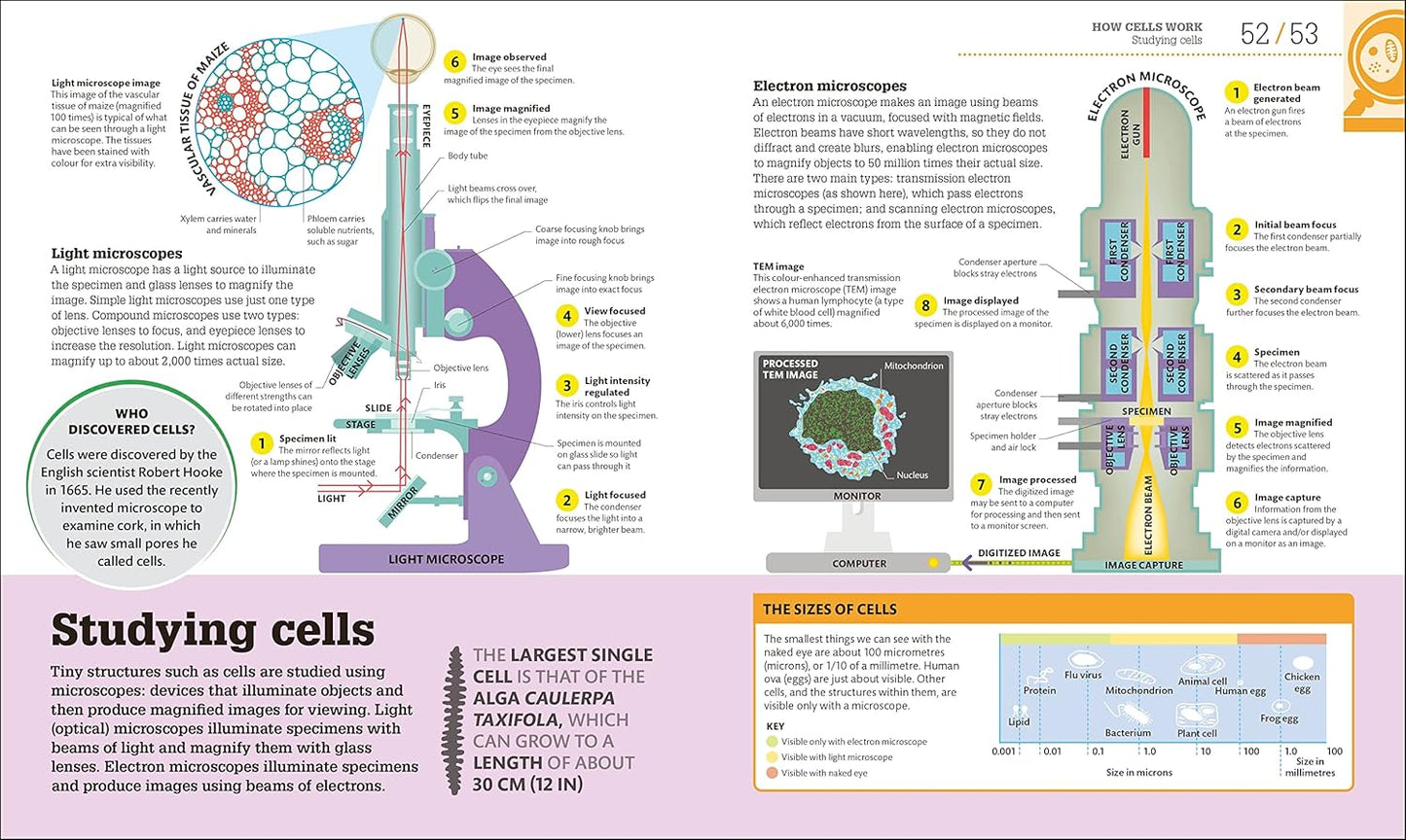 How Biology Works: The Facts Visually Explained - DK How Stuff Works (Hardback)
