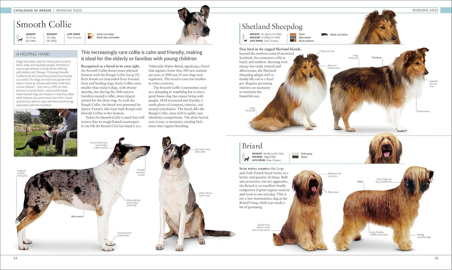 The Dog Encyclopedia: The Definitive Visual Guide - DK Pet Encyclopedias (Hardback)