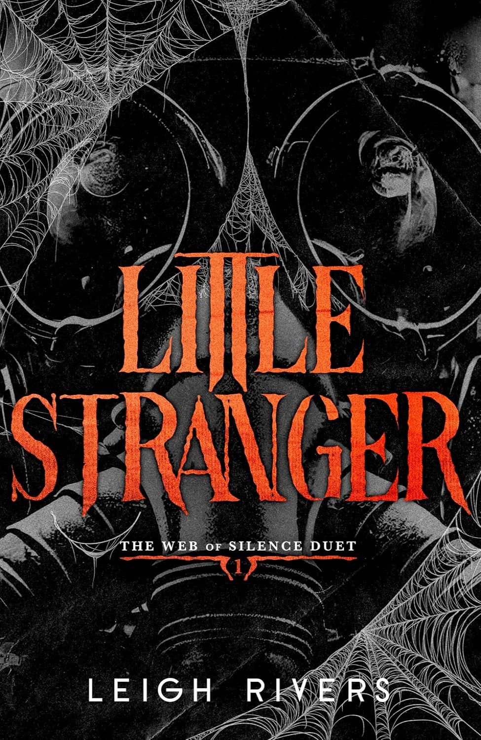 Little Stranger By Leigh Rivers - The Web of Silence Duet #1